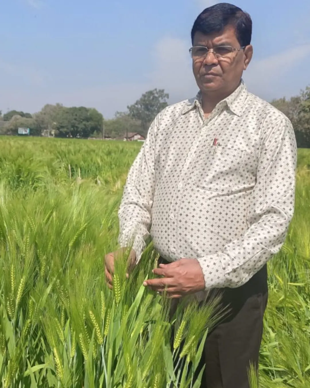 सीएसए ने रचा इतिहास, विकसित किया बीमारी अवरोधी जौ