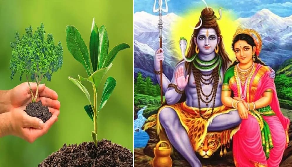 हिन्दू संस्कृति में पर्यावरण सरंक्षण का विशेष महत्व रेखांकित करती श्रावणी अमावस