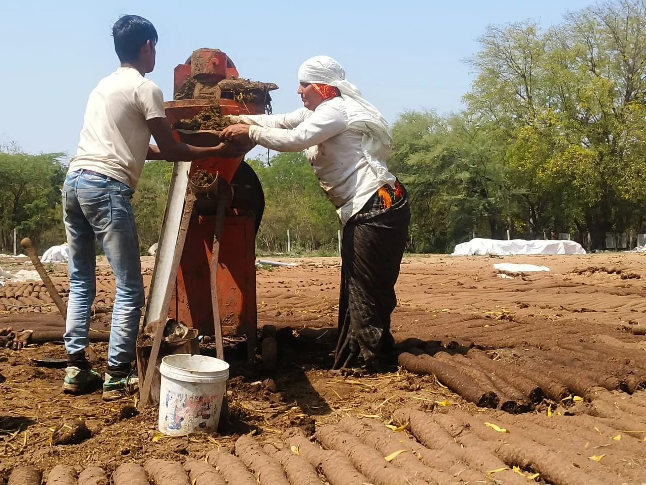 होलिका दहन के लिए दो सौ टन गोकाष्ठ भेजी जाएगी गुजरात