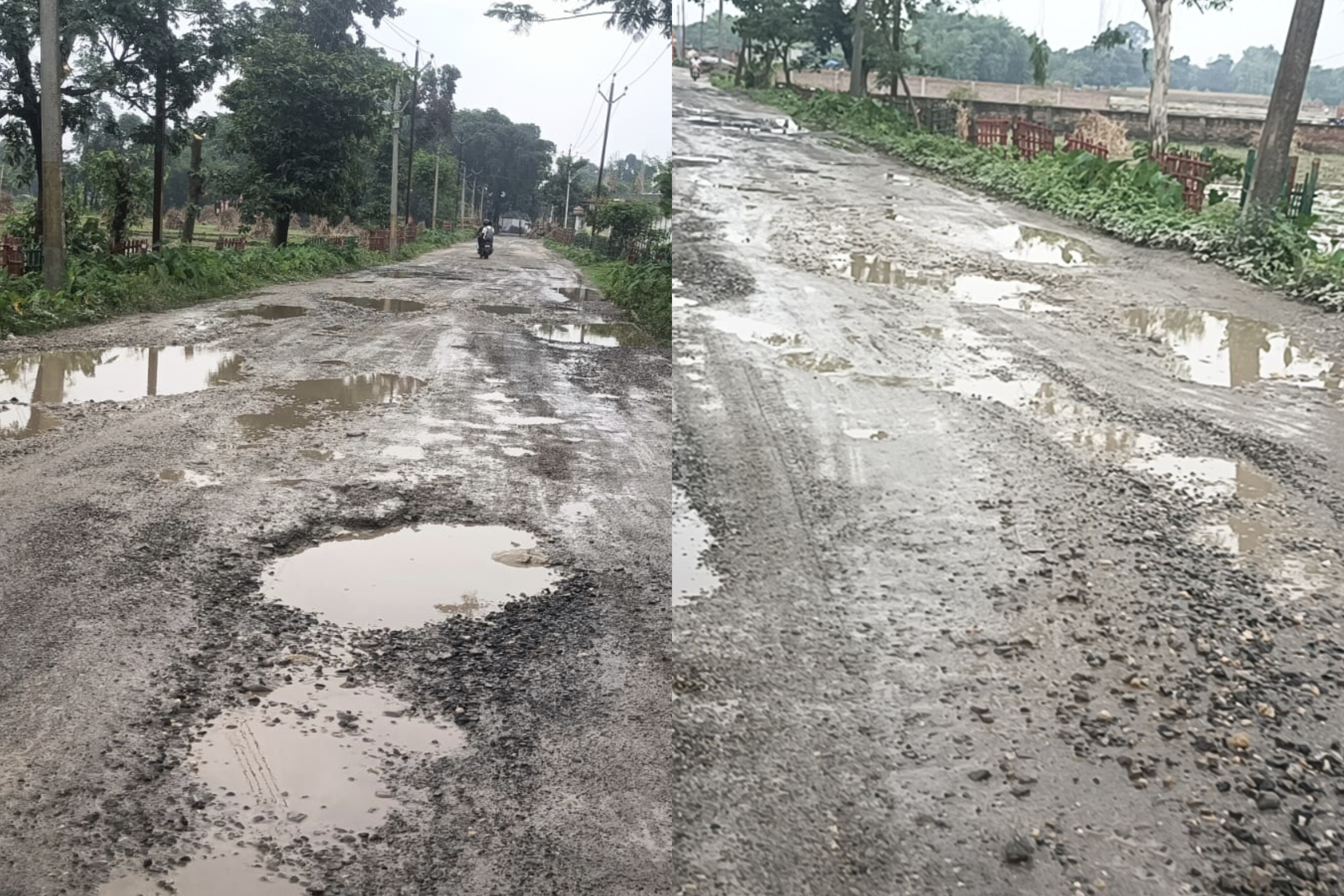 2.86 करोड़ की सड़क बनी भ्रष्टाचार की मिसाल, गाछपाड़ा-नूनिया टोली मार्ग बदहाल