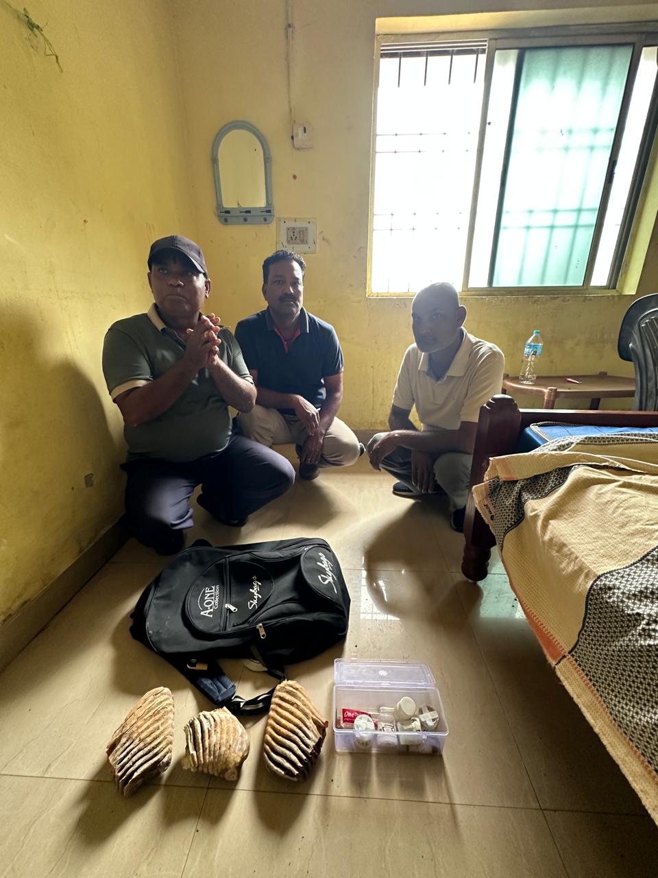 रामानुजगंज में हाथी दांत तस्करों पर शिकंजा, 3 दांत जब्त; तीन आरोपी सलाखों के पीछे