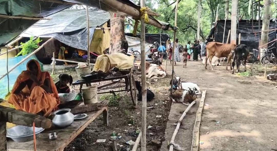 भागलपुर में गंगा का बढ़ा जलस्तर बना आफत, बह गए कई आशियाने; बाढ़ पीड़ितों को अब खाने के भी लाले