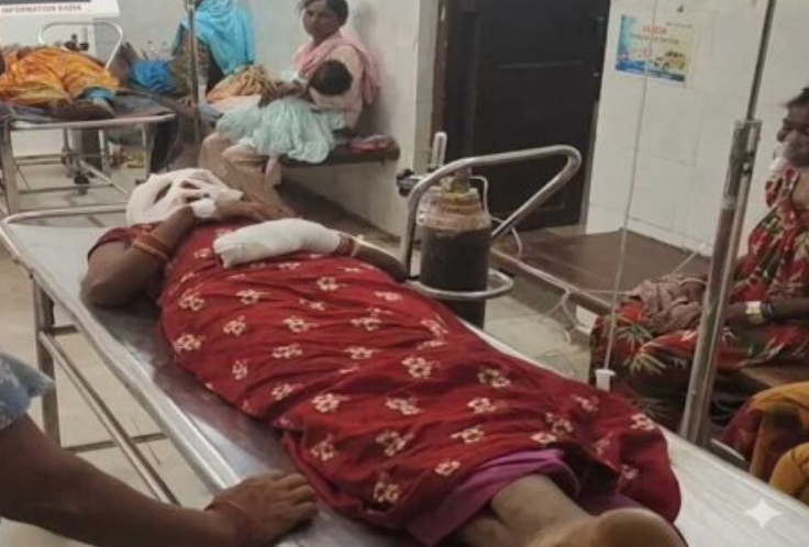 लगातार दूसरे दिन भालू के हमले में ग्रामीण घायल, दहशत