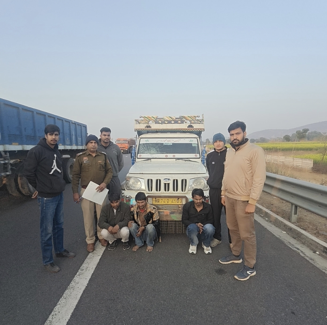 फिरोजपुर झिरका में तीन गो-तस्कर गिरफ्तार