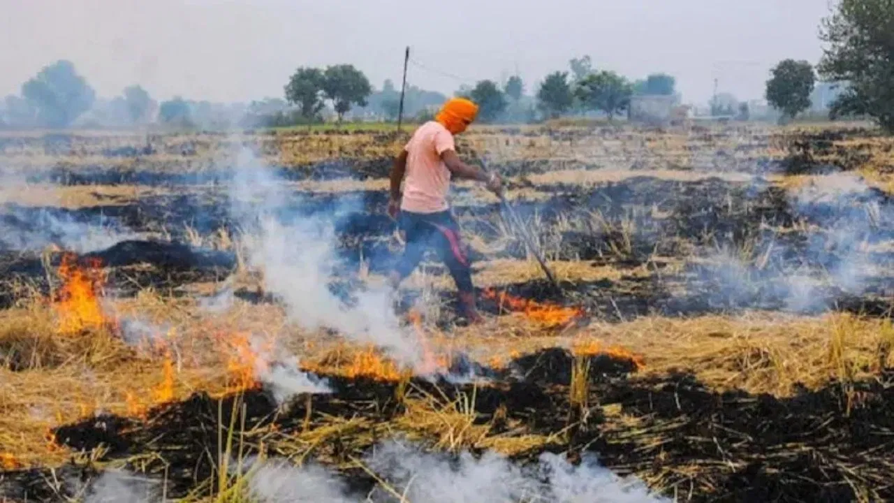 ग्वालियरः जिले में फसलों के अवशेष जलाने पर पूर्णत: प्रतिबंध