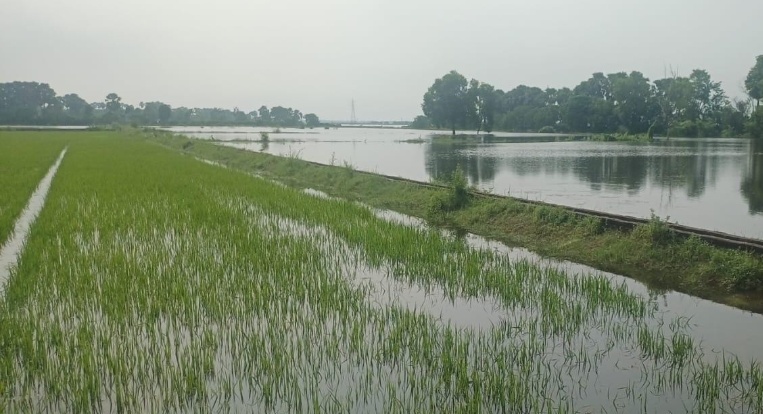 पानी उतरने में देरी से बढ़ी किसानों की मुश्किलें, कर्ज के बोझ में दियारा