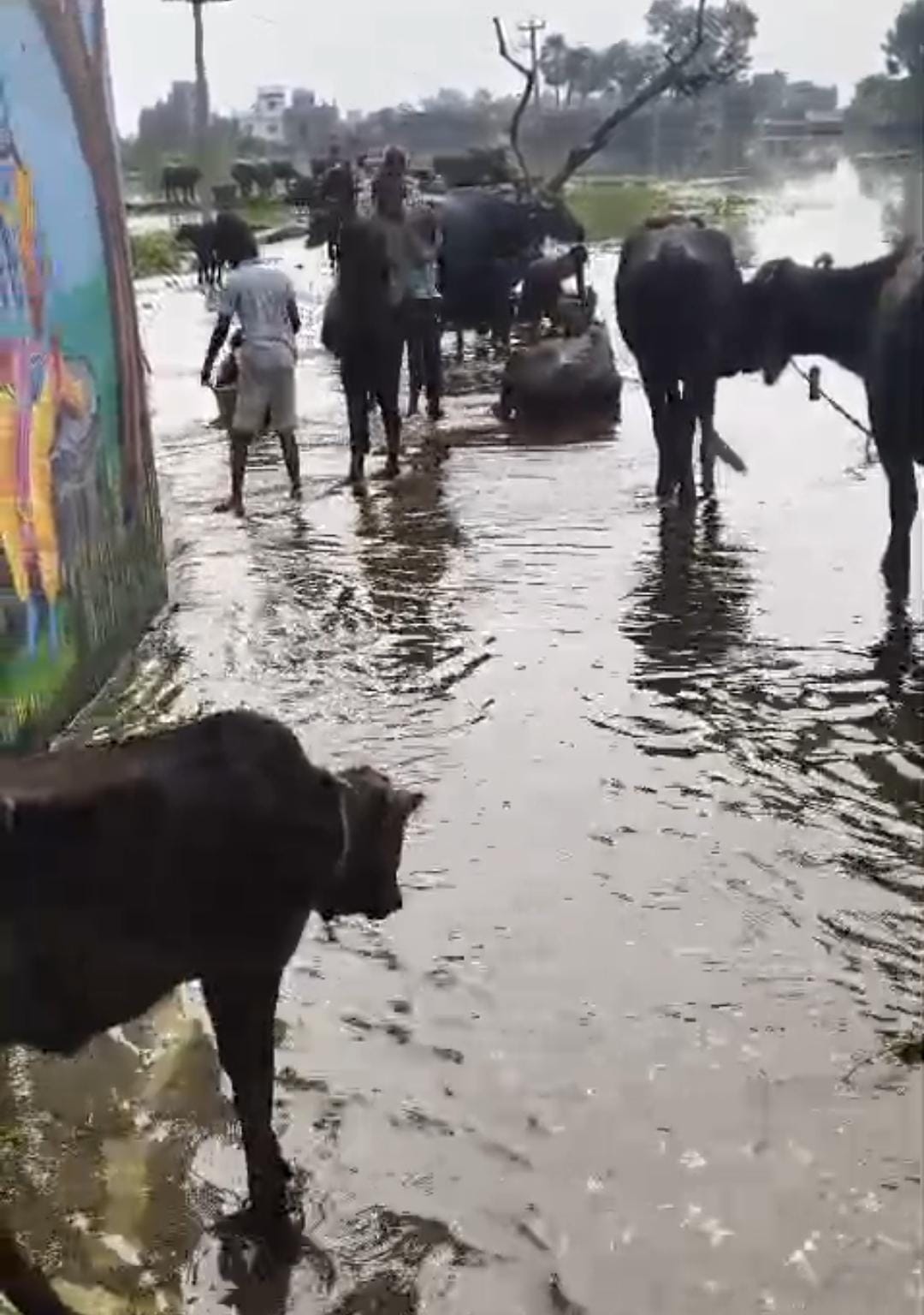 अकबरनगर में बाढ़ का संकट गहराया, श्रीरामपुर रिंग बांध टूटने से गांवों में घुसा पानी, 7 हजार से ज्यादा आबादी प्रभावित