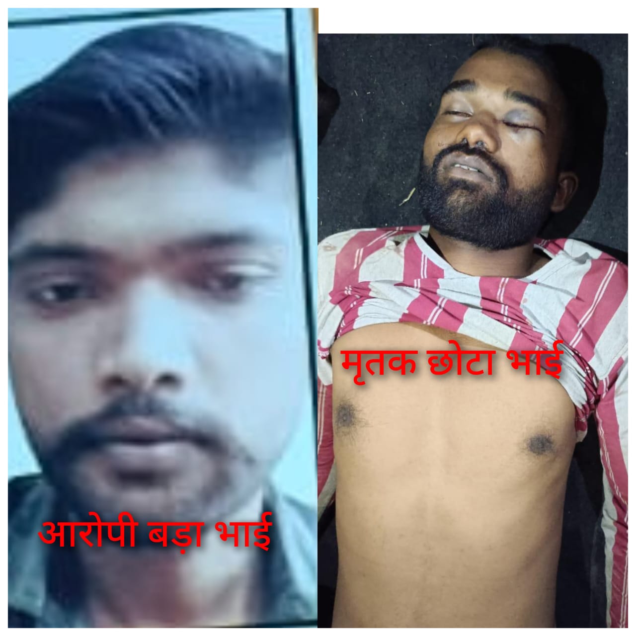 रीवा में घरेलू विवाद के चलते बड़े भाई ने की छोटे भाई की निर्मम हत्या
