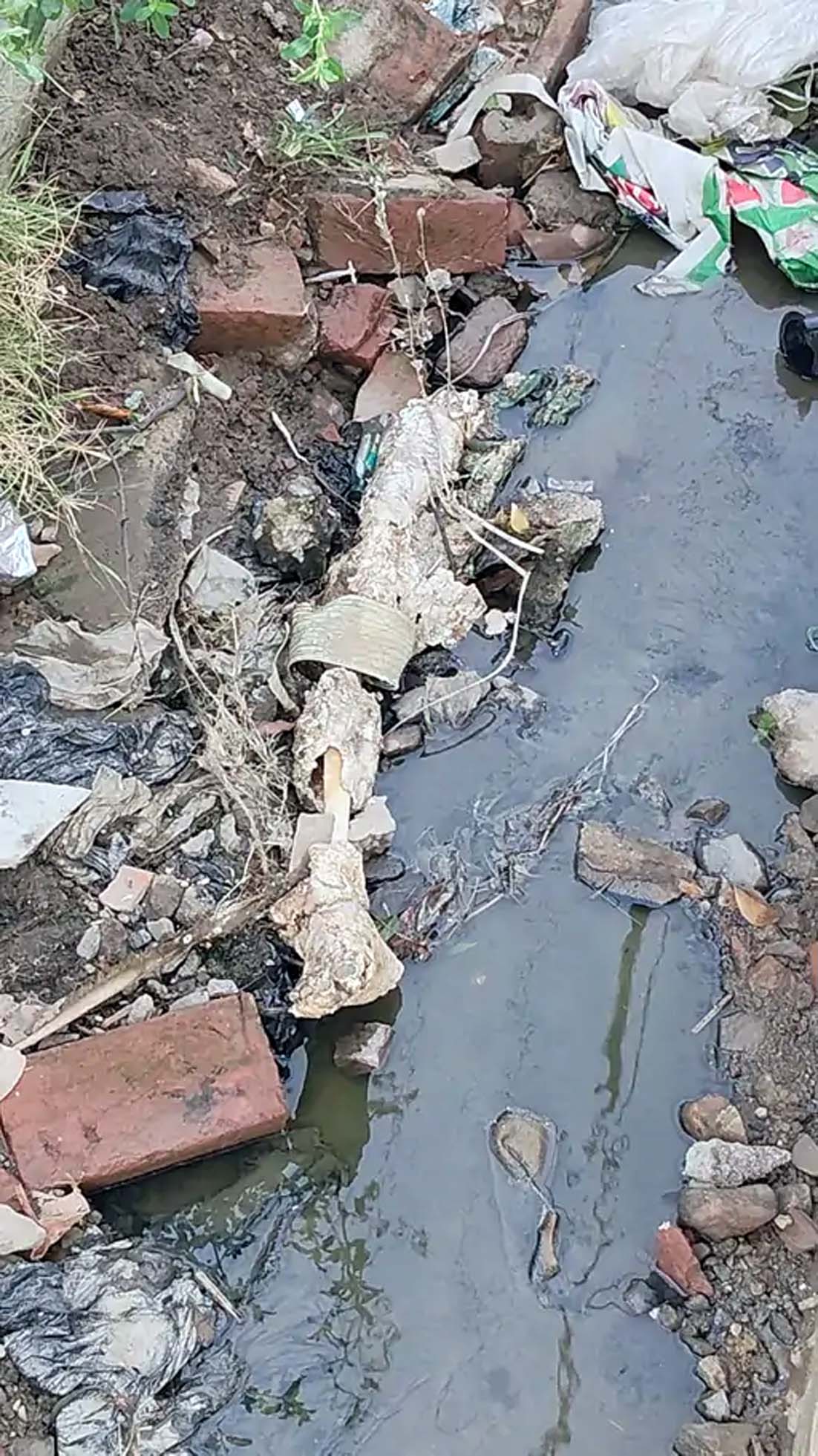 हिसार के बरसाती नाले में मिली महिला की कटी हुई टांग, क्षेत्र में सनसनी