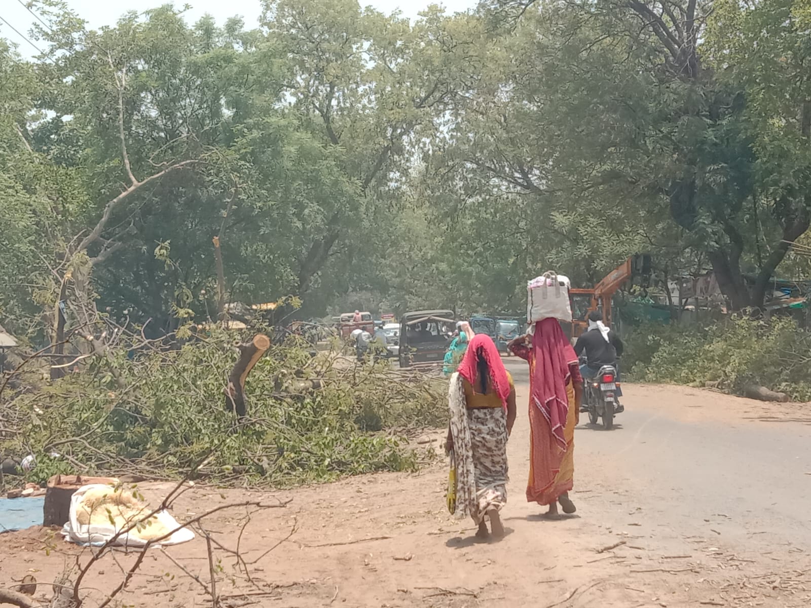 फोरलेन और बाईपास परियोजनाओं से बदलेगी धमतरी की तस्वीर, सैकड़ों पेड़ों की कटाई शुरू