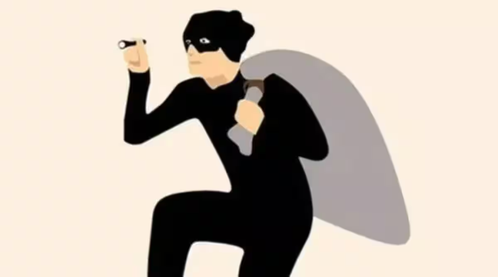 बांग्लादेश: सोना-चांदी नहीं,330 किलो बाल चोरी, चोरी ने  पुलिस की चिंता