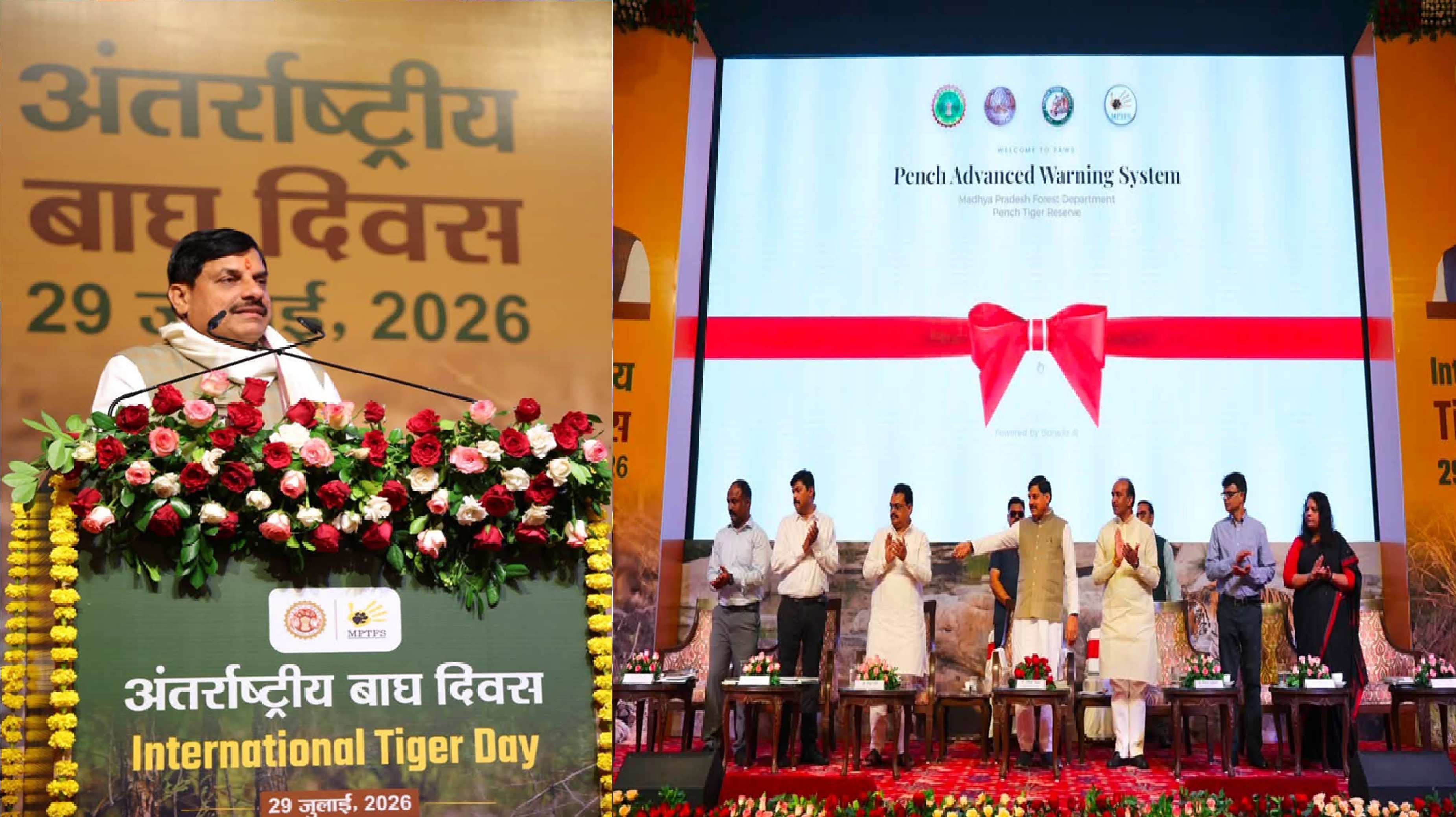 टाइगर स्टेट मध्य प्रदेश में नया रिकॉर्ड, बाघों की संख्या जल्द पहुंचेगी हजार के करीब